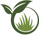 Jenson Dirt Installation